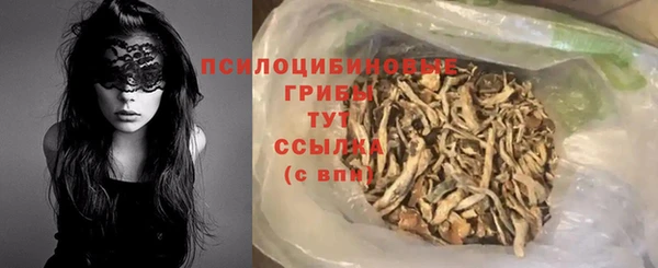 гашик Алексеевка