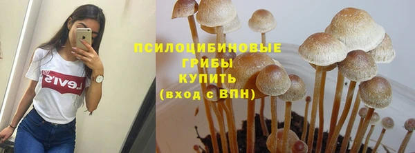 гашик Алексеевка