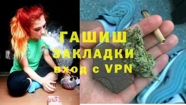 гашик Алексеевка