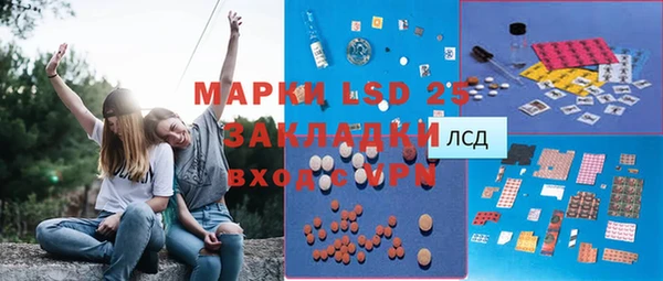 гашик Алексеевка