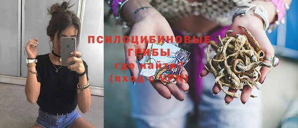 гашик Алексеевка