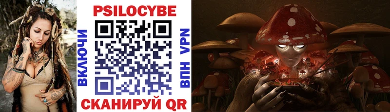 купить закладку  Динская  Псилоцибиновые грибы Psilocybe 